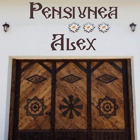 Pensiunea Alex Marga Extérieur photo
